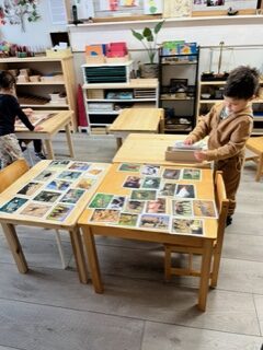 Coronation Montessori matching photos on tables