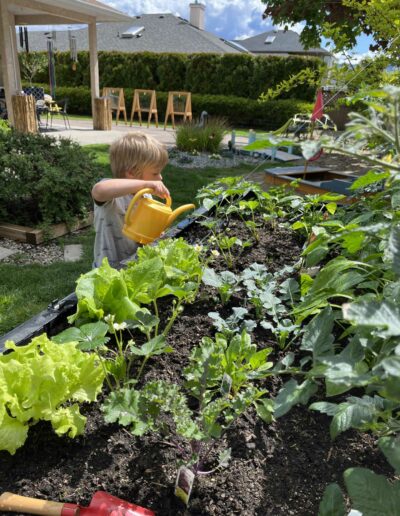 Montessori young boy watering veg garden