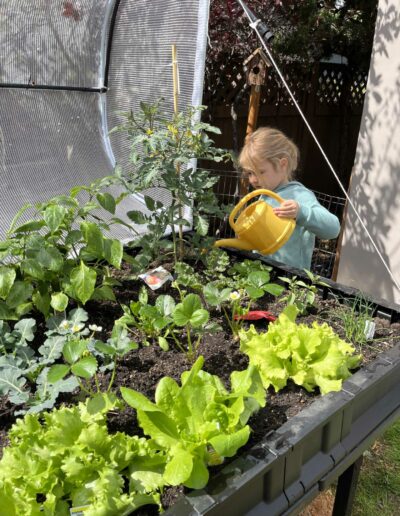 Montessori young girl watering veg garden
