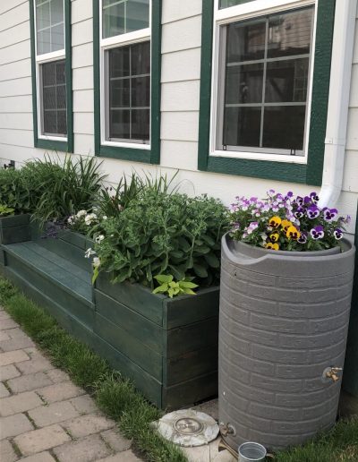Montessori backyard