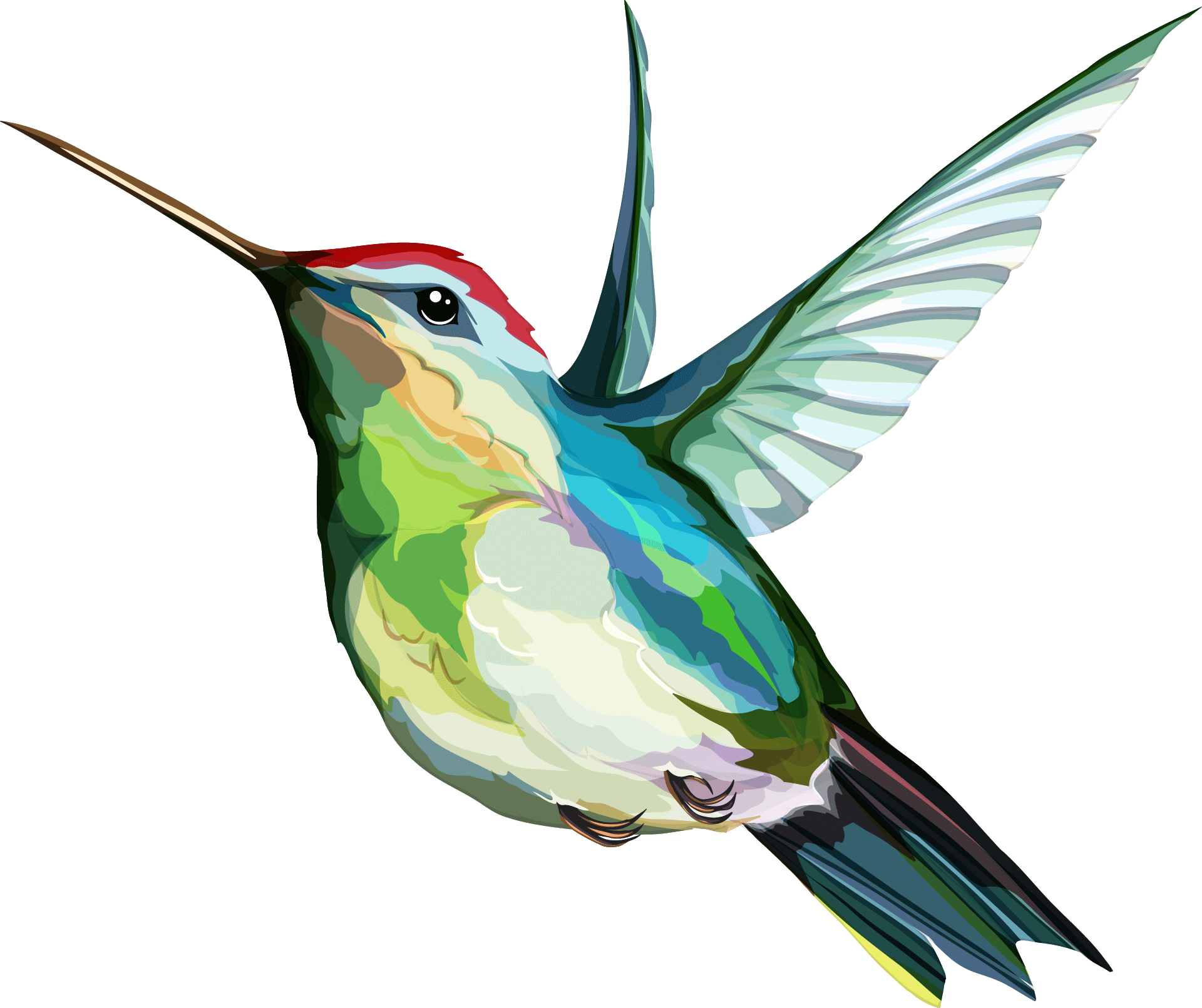 hummingbird