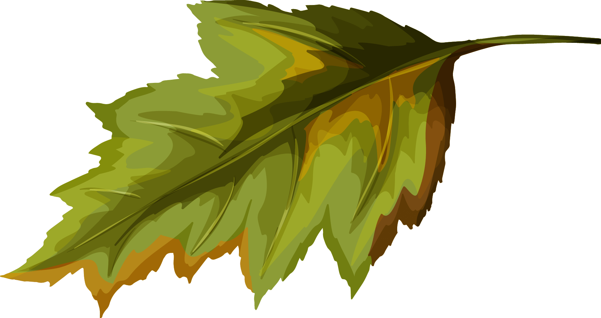 leaf