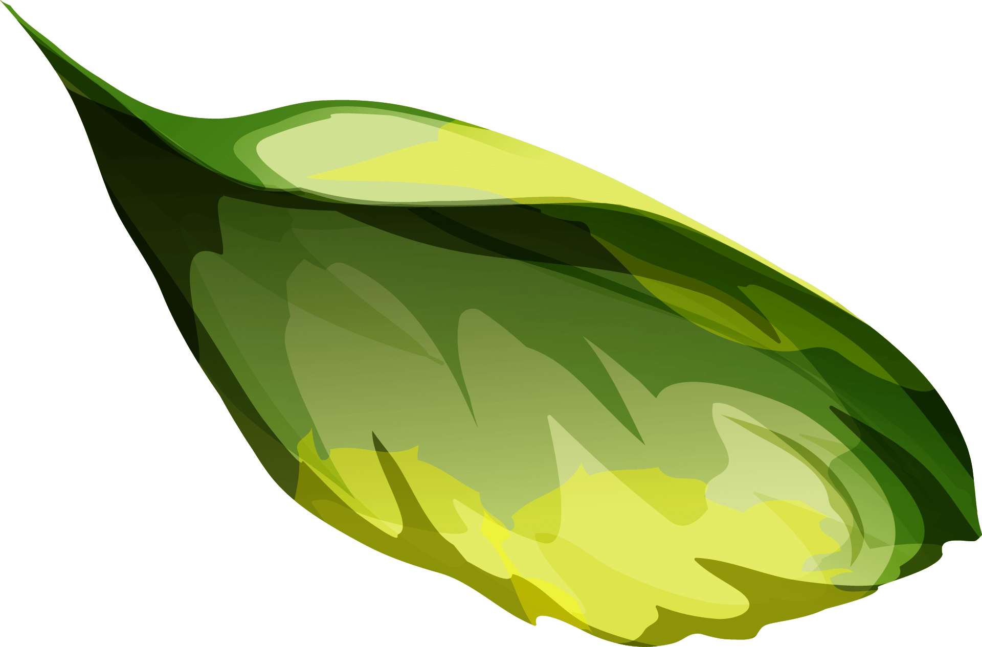 leaf