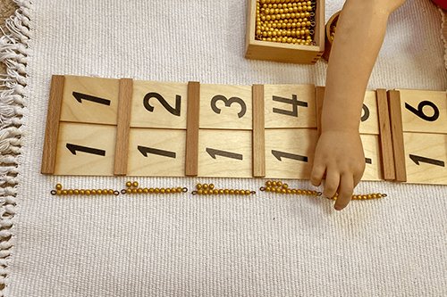 Montessori materials and Montessori-trained professionals