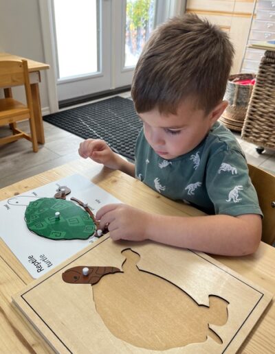 Coronation Montessori building a turtle