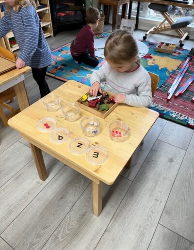 Coronation Montessori sorting objects